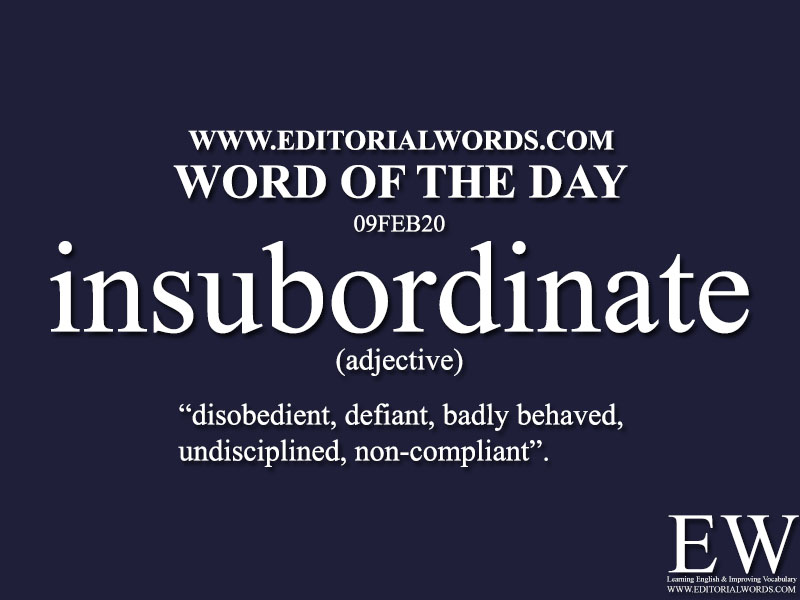 Word of the Day (insubordinate)-09FEB20