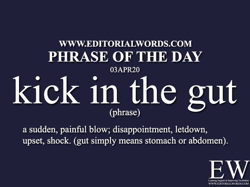 Phrase of the Day (kick in the gut)-03APR20 - Editorial Words