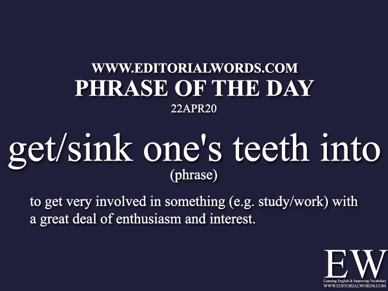 Phrase of the Day (get/sink one's teeth into)-22APR20