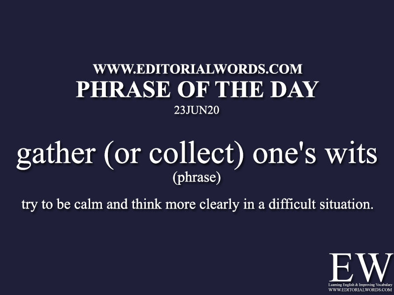 Phrase of the Day (gather (or collect) one's wits)-23JUN20