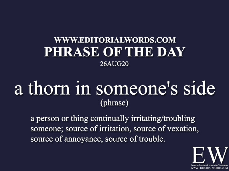 Phrase of the Day (a thorn in someone's side)-26AUG20