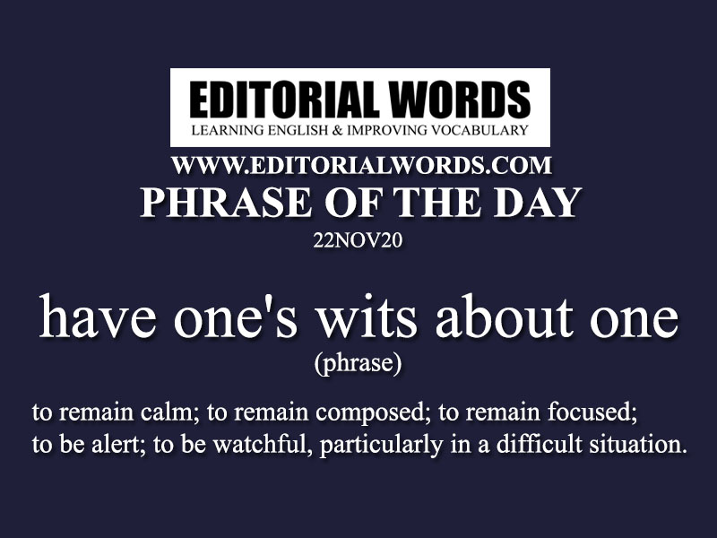 Phrase of the Day (have one's wits about one)-22NOV20