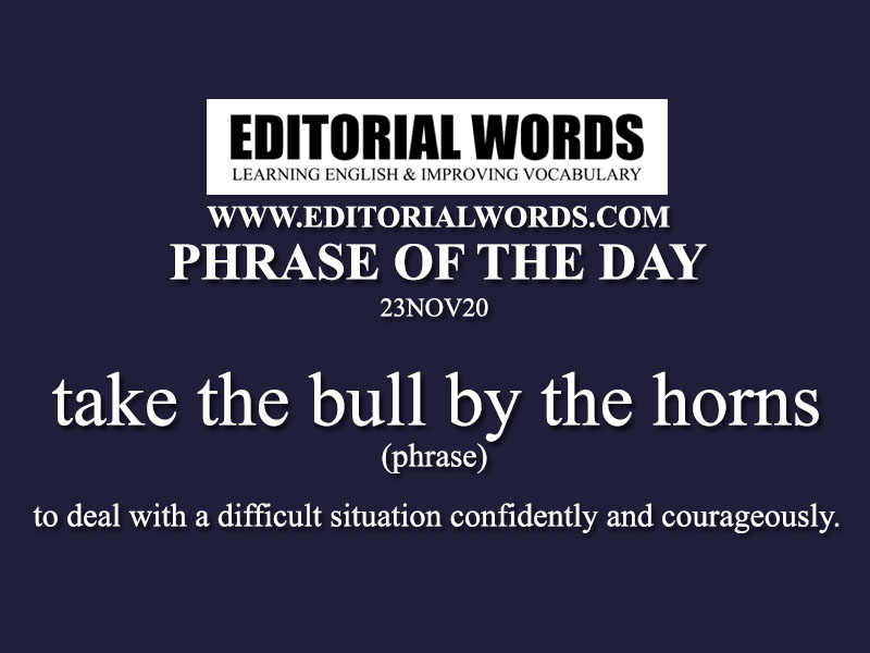 Phrase of the Day (take the bull by the horns)-23NOV20