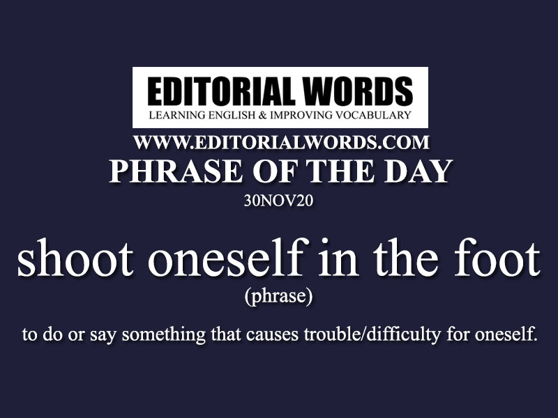 Phrase of the Day (shoot oneself in the foot)-30NOV20