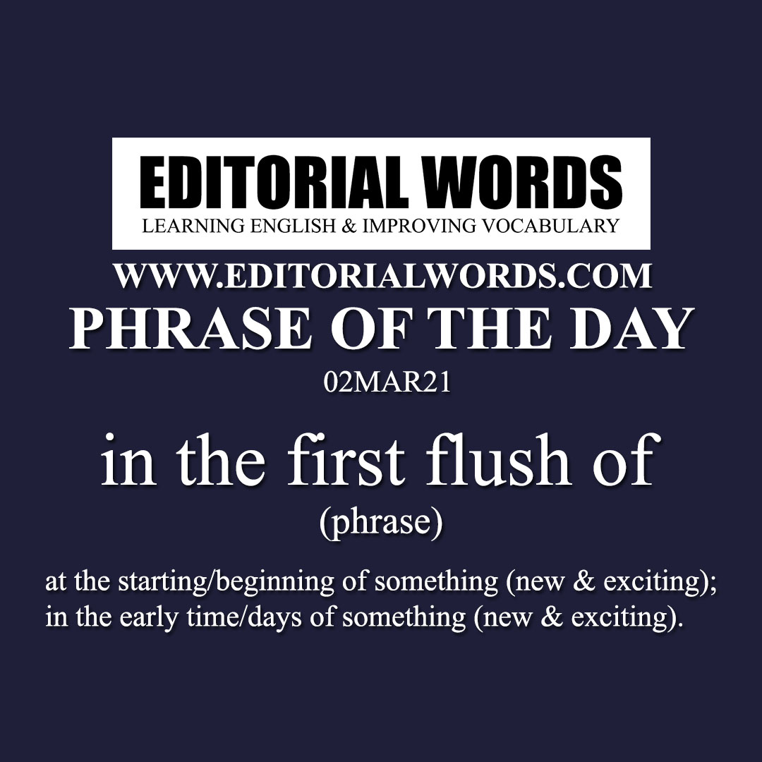 Phrase of the Day (in the first flush of)-02MAR21