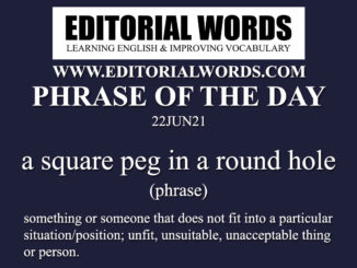Phrase of the Day (a square peg in a round hole)-22JUN21