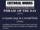 Phrase of the Day (a square peg in a round hole)-22JUN21