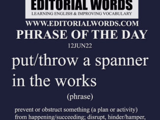 Phrase of the Day (put/throw a spanner in the works)-12JUN22