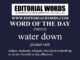 Word of the Day (water down)-27NOV22