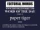Word of the Day (paper tiger)-22DEC22