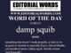 Word of the Day (damp squib)-23DEC22