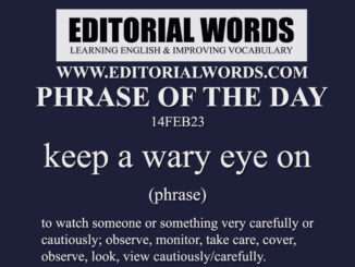 Phrase of the Day (keep a wary eye on)-14FEB23