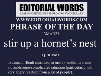 Phrase of the Day (stir up a hornet’s nest)-13MAR23