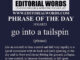 Phrase of the Day (go into a tailspin)-31MAR23