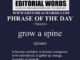 Phrase of the Day (grow a spine)-17MAR24