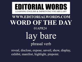 Word of the Day (lay bare)-01APR24