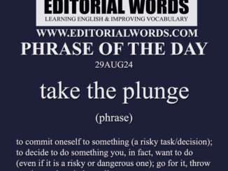 Phrase of the Day (take the plunge)-29AUG24