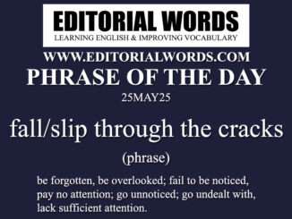Phrase of the Day (fall/slip through the cracks)-25MAY25
