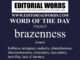 Word of the Day (brazenness)-17MAY25