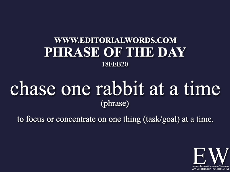 Phrase of the Day (chase one rabbit at a time) -18FEB20