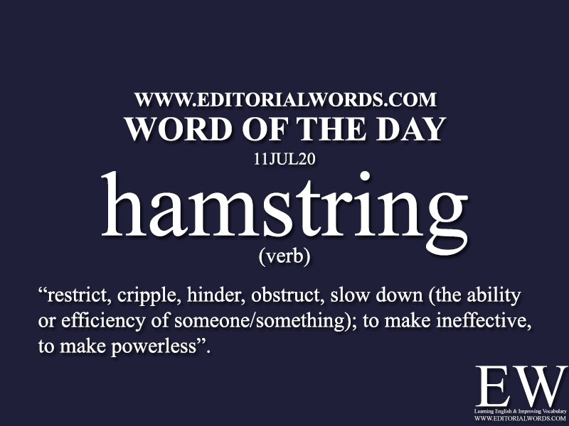 Word of the Day (hamstring)-11JUL20
