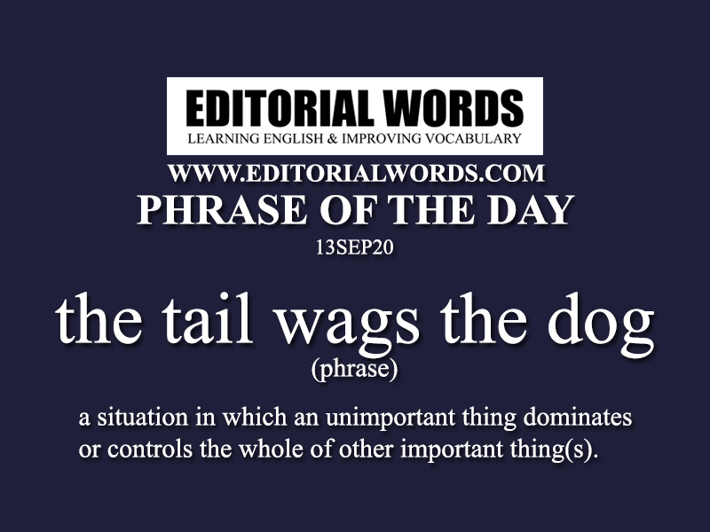 Phrase of the Day (the tail wags the dog)-13SEP20