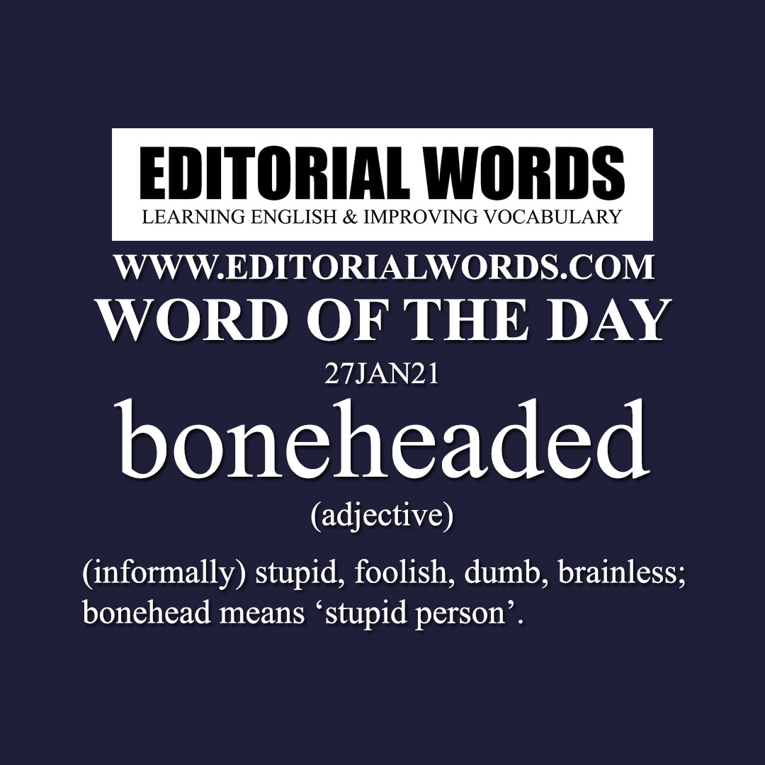 Word of the Day (boneheaded)-27JAN21