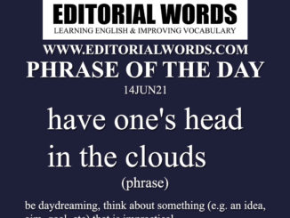 Phrase of the Day (have one's head in the clouds)-14JUN21