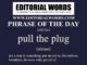 Phrase of the Day (pull the plug)-15JUN21