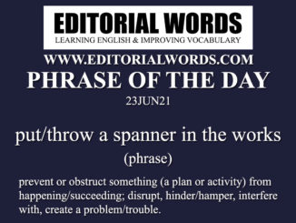 Phrase of the Day (put/throw a spanner in the works)-23JUN21