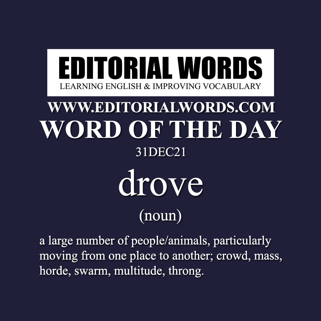 Word of the Day (drove)-31DEC21