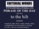 Phrase of the Day (to the hilt)-20FEB22