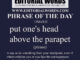 Phrase of the Day (put one's head above the parapet)-12MAR22