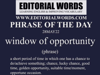 Phrase of the Day (window of opportunity)-28MAY22