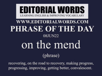 Phrase of the Day (on the mend)-08JUN22