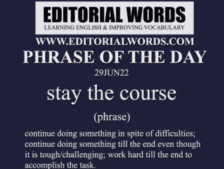 Phrase of the Day (stay the course)-29JUN22