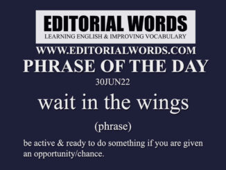 Phrase of the Day (wait in the wings)-30JUN22