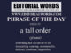 Phrase of the Day (a tall order)-01JUL22