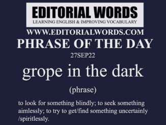 Phrase of the Day (grope in the dark)-27SEP22