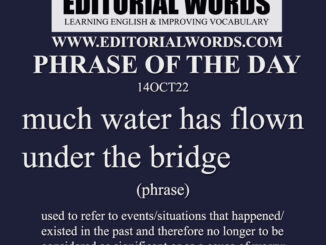 Phrase of the Day (much water has flown under the bridge)-14OCT22