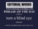 Phrase of the Day (turn a blind eye)-11NOV22