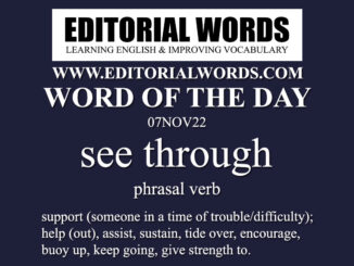 Word of the Day (see through)-07NOV22