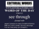 Word of the Day (see through)-07NOV22