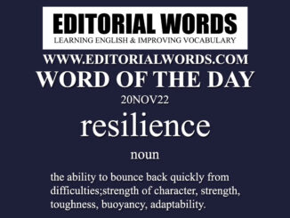 Word of the Day (resilience)-20NOV22