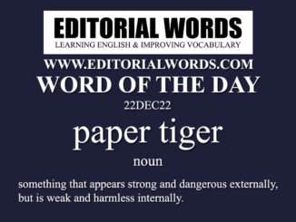 Word of the Day (paper tiger)-22DEC22