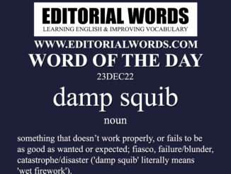 Word of the Day (damp squib)-23DEC22