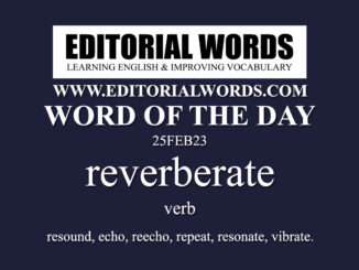 Word of the Day (reverberate)-25FEB23
