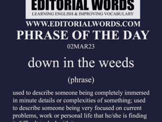 Phrase of the Day (down in the weeds)-02MAR23