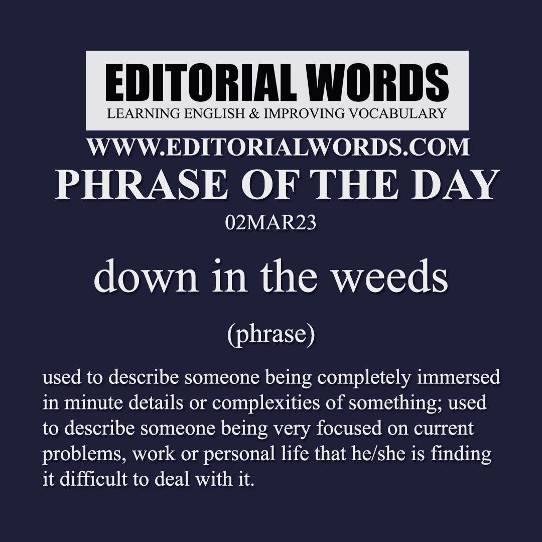 Phrase of the Day (down in the weeds)-02MAR23