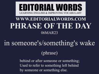 Phrase of the Day (in someone's​/​something's wake)-06MAR23